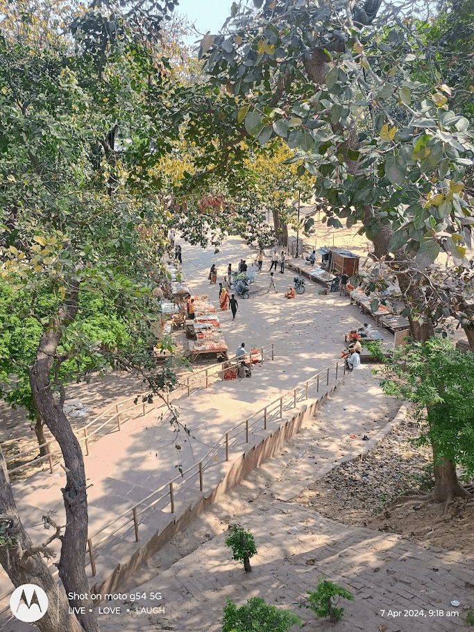 Mani Parvat
